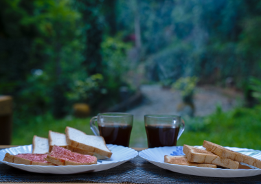 A Culinary Journey: Local Dishes to Try at Vox Homestays